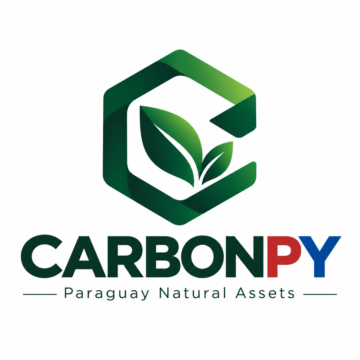 CARBONPY brand presentation