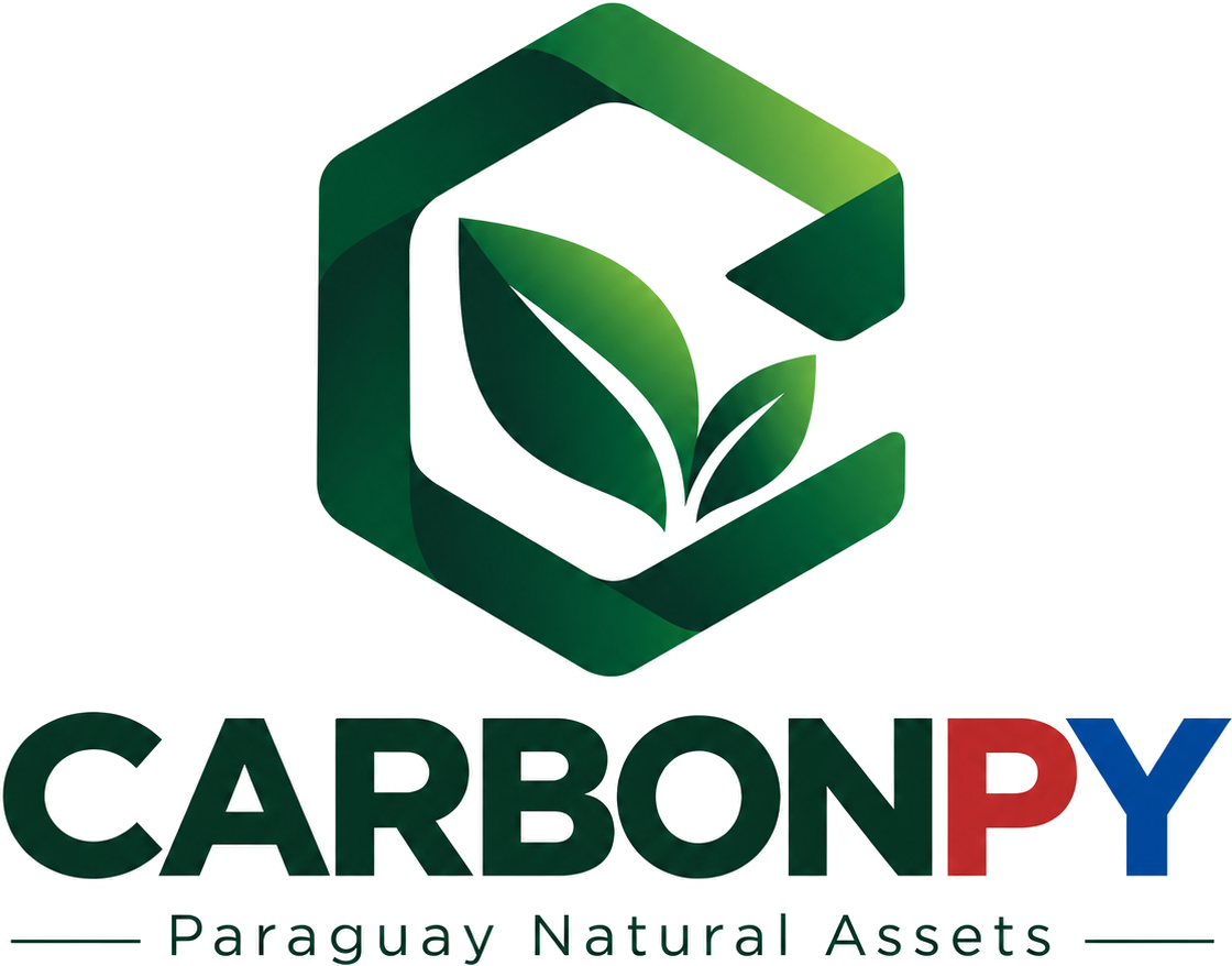 CARBONPY logo